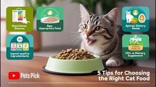 How to Choose the Best Cat Food—Tips Every Owner Needs! 🐱🥗 #CatNutrition #PetCare #HealthyCats