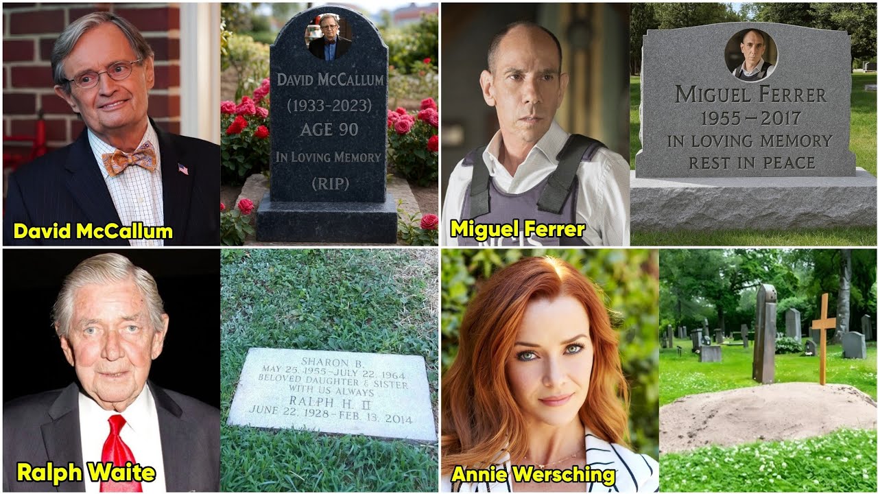 20 Graves Of NCIS Cast - Where Are They Buried?