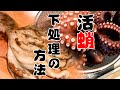 【夏が旬】活け蛸の下処理と茹で方