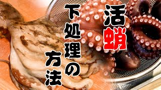 【夏が旬】活け蛸の下処理と茹で方