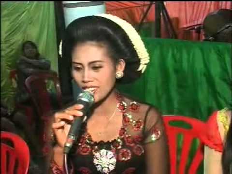 JENAWI : Ngudang Anak Koplo Marsudi Laras Live in Tawangrejo