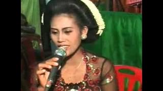 JENAWI : Ngudang Anak Koplo Marsudi Laras Live in Tawangrejo