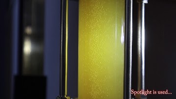 SS Brewtech sight glass activity during fermentation :-)