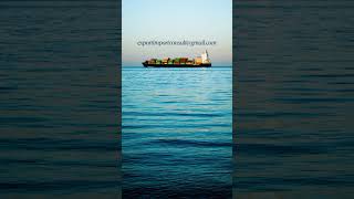 Exporting Smart: How Marine Insurance Shields Your Shipments #export #import