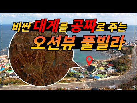 경북 포항_비싼 대게를 가장 저렴하게 먹을 수 있는 풀빌라