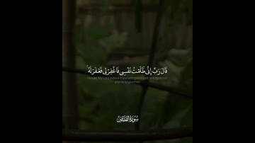 {قَالَ رَبِّ إِنِّي ظَلَمْتُ نَفْسِي } تحبير هادئ للقارئ فيصل الهاجري