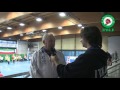 Intervista a Marco Pedrazzi