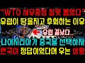 WTO 사무총장 잘못 뽑았다며 유럽이 땅을치고 후회하는 이유.. 나이지리아가 결국 중국을 선택하자, 한국이 정답이었다며 우는 상황