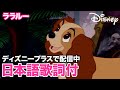 ディズニー・ミュージック・ショーケース/ララルー|ディズニープラス