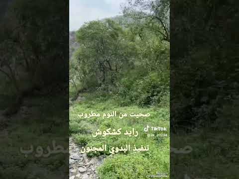 صحيت من النوم مطروب هجيني كلمات ابو رزين العقيلي اداء رايد كشكوش