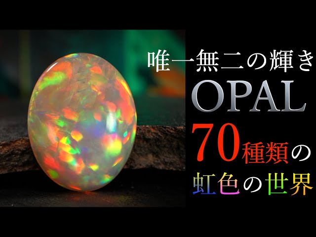 ❗️お気に入りを定めるのが難しい❗️ 美しすぎる70石のオパール特集
