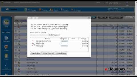 Web Client   Upload Files