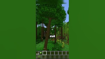 Making Minecraft Trees Look Realistic! #minecraft