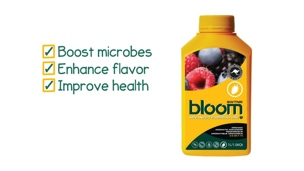 Bloom  S.W.T.N.R - Product Video