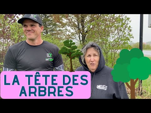 Dois-je couper la
