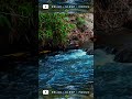 💧 30 Seconds of River ASMR to Calm Your Mind #shorts