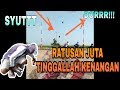 GILA !!! Merpati Kolong Super Nukik Rem Blong langsung Mati Ditempat #HOBIKU