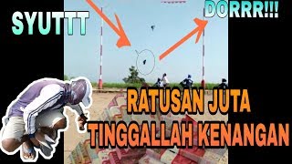 GILA !!! Merpati Kolong Super Nukik Rem Blong langsung Mati Ditempat #HOBIKU
