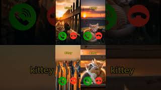 catcall #aicat #ringtone #ringtones #iphone #cat #shorts #catcalling #monkcall #monk #smartphone