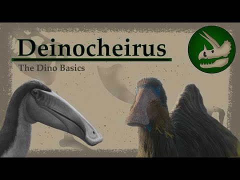 Deinocheirus | The