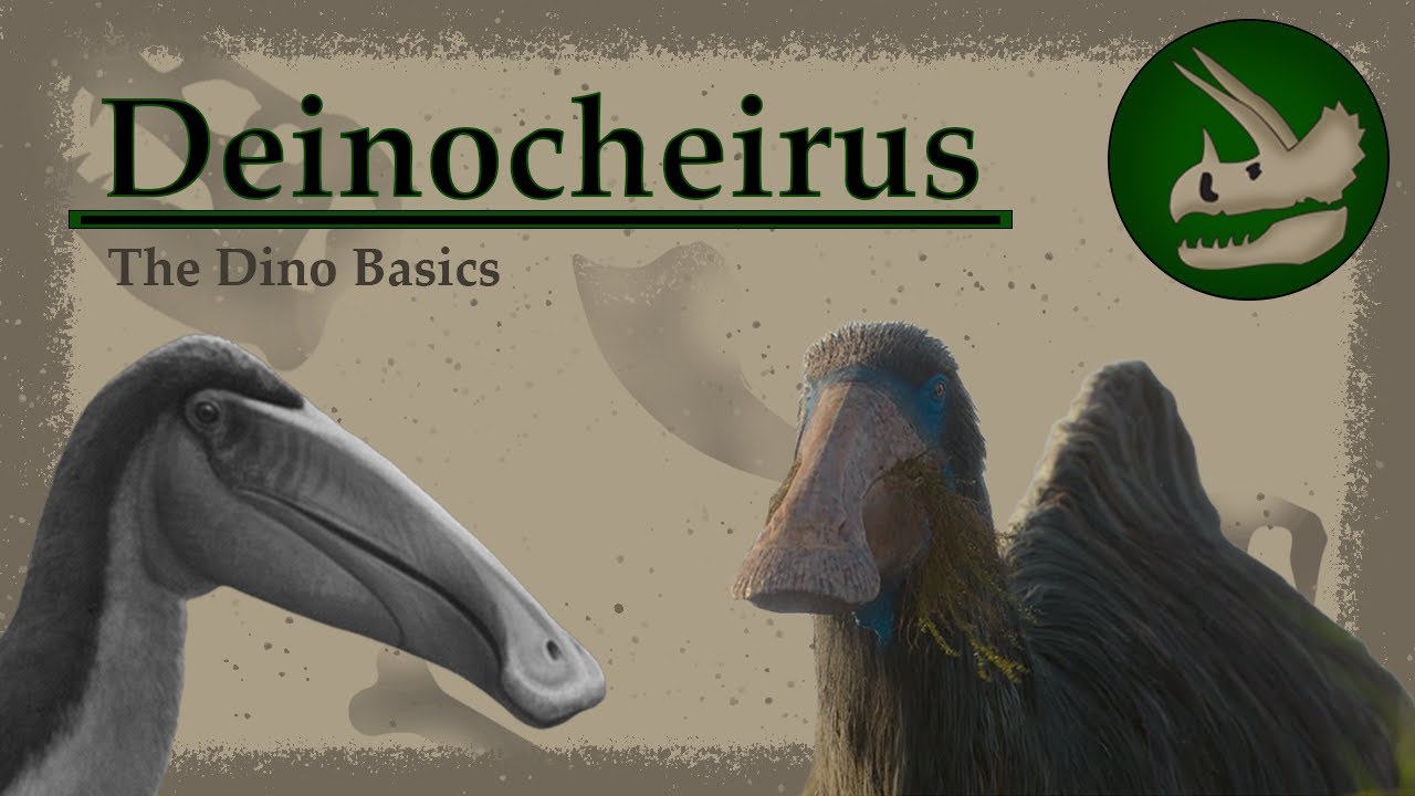 Deinocheirus | The Bizarre Rising Star | Dino Basics