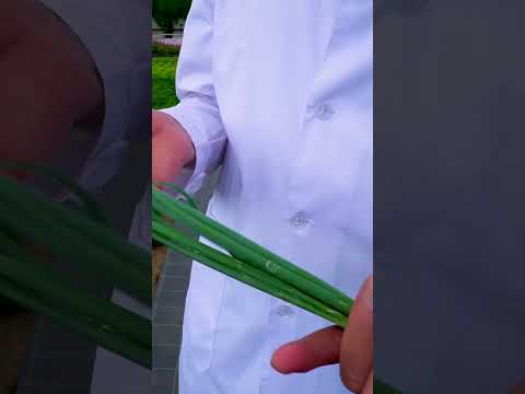 Видео: Зона 4 Харди хибискус - има ли растения от хибискус за градините на зона 4