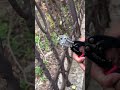Delixi Wire Cutter Review: The Ultimate Tool for DIY Enthusiasts