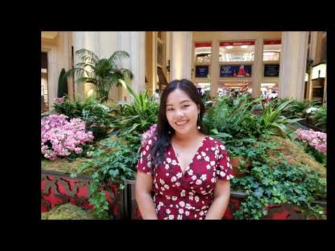 Video: Ua koob tsheej Xyoo Tshiab ntawm Bellagio hauv Las Vegas