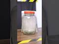 Mosquito Repellent Experiment #shorts #shortvideo