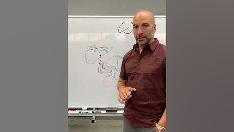 Accelerating Benefits of a Fast | Dr. Peter Attia