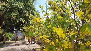 Ain't Over You #music #lyricvideo