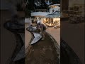 Luxury Driveway Concrete Finish at a Modern Mansion 😍 | Satisfying Construction USA
