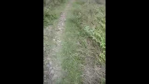 Pipa prtamina bocor di desa krngkeng Blok tegal rasak.