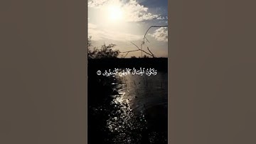 سورة القارعة بصوت القارئ سعد الغامدي #القرآن_الكريم #سعد_الغامدي #سورة_القارعة