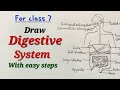 How to draw digestive system ,Digestive system drawing ,Draw Alimentary canal  #आहार नाल का चित्र