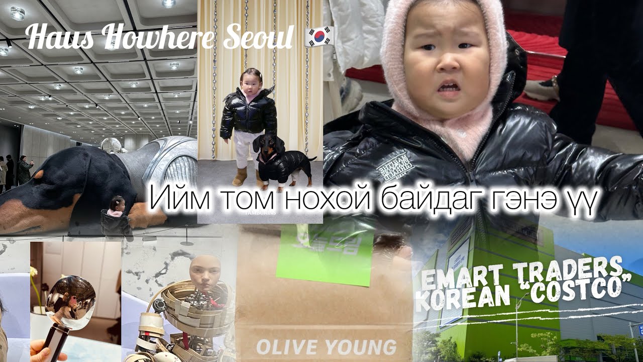 13 метр Том нохой 🐕 | Шинэ оны эхний өдрүүд – Амралт, Худалдан авалт | Vlog 17 | Days With My Baby