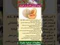 فوائد البطيخ الاصفر او الشمام