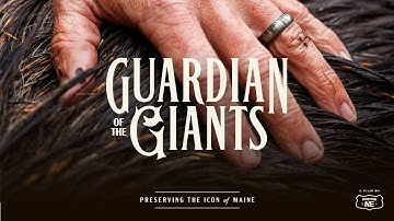 MAINE MOOSE DOCUMENTARY / GUARDIAN OF THE GIANTS