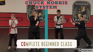 Complete Chuck Norris System Virtual Beginner Class working Blocks