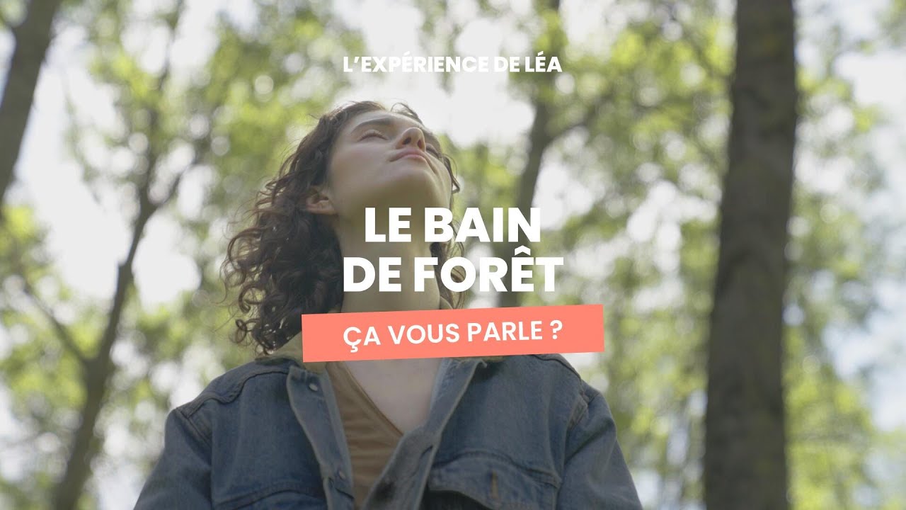 Balade en forêt : reconnexion à la nature assurée