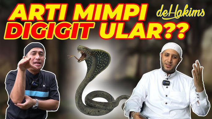 Tabu porno videolar Pigmey qabilasida jinsiy aloqa