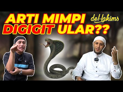 Video: Mengapa seorang wanita memimpikan banyak ular