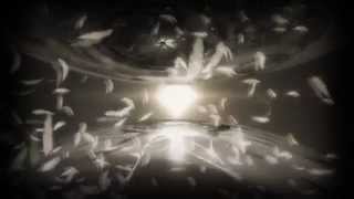 Celebrity Fall Out Boy/Light 'Em Up!!! (CODE GEASS AMV) Wealth