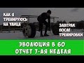 ЭВОЛЮЦИЯ В 60 ЛЕТ. 7-ая неделя. Отчет.