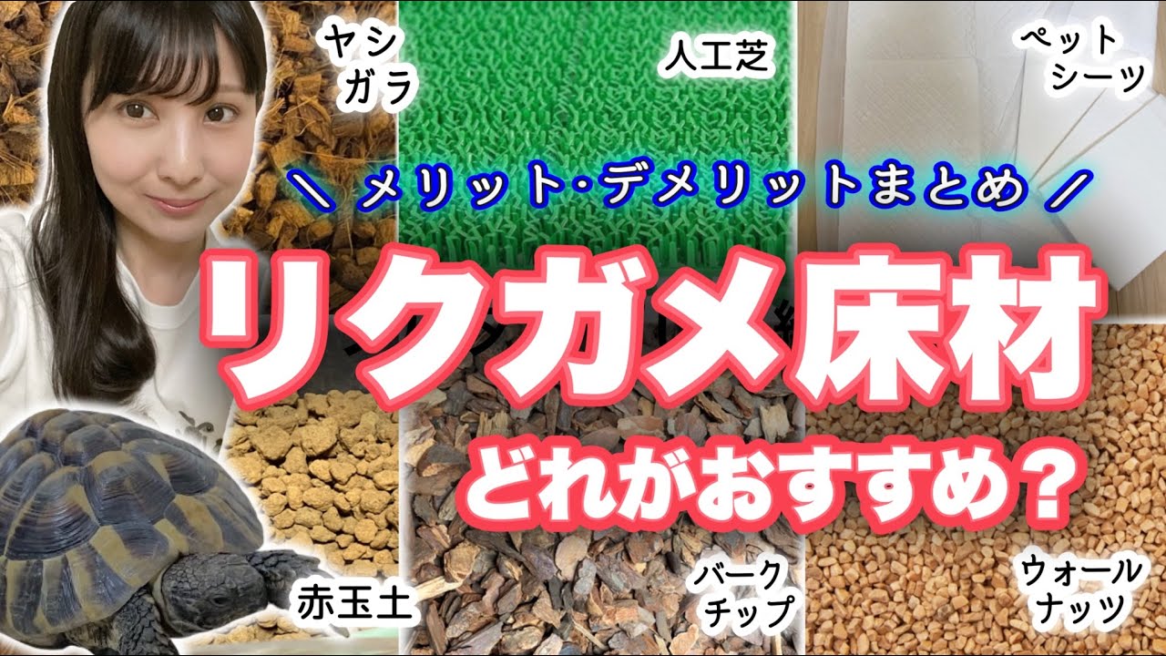 送込&即決! リクガメ等爬虫類用床材 ヤシガラ ハスクチップ お徳用