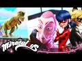 MIRACULOUS | 🐞  BEST MOMENTS - ANIMALS 🐾 | Tales of Ladybug and Cat Noir