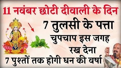 11 नवंबर छोटी दीपावली के दिन घर में यहाँ रख दें 7 तुलसी के पत्ते बनोगे करोड़पति- Pardeep mishra