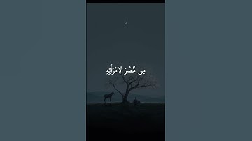 وكانوا فيه من الزاهدين = سورة يوسف = #سيد سعيد