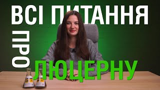 Люцерна. Як сіяти? Чим відрізняються різні сорти люцерни? Яка люцерна підходить на мікрогрін?😉