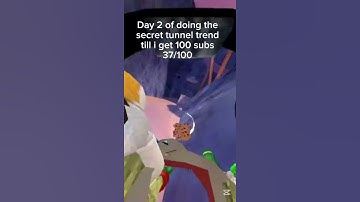 the tunnel is secret. #day2 #gtag #gorillatag